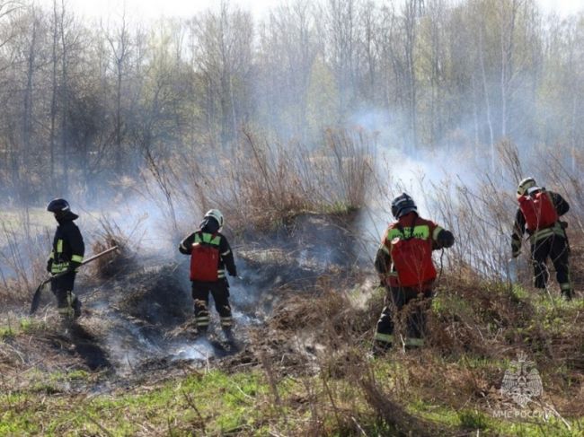 Узловские спасатели провели учения по тушению ландшафтных пожаров