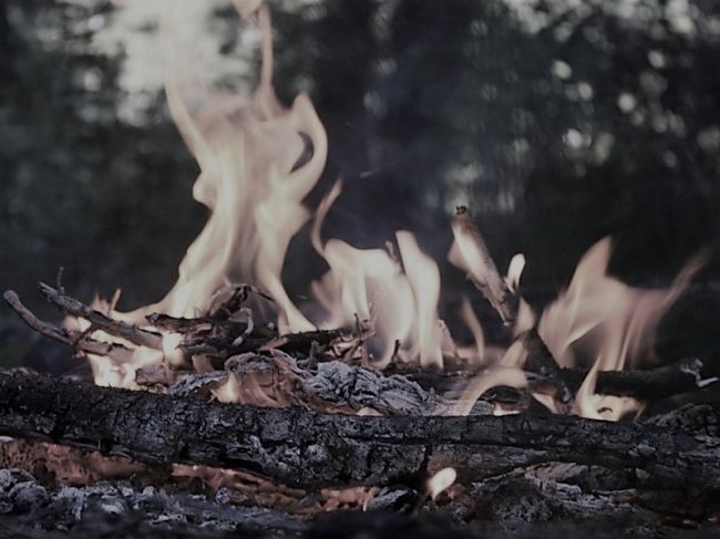 При обнаружении природного пожара следует немедленно сообщить о возгорании