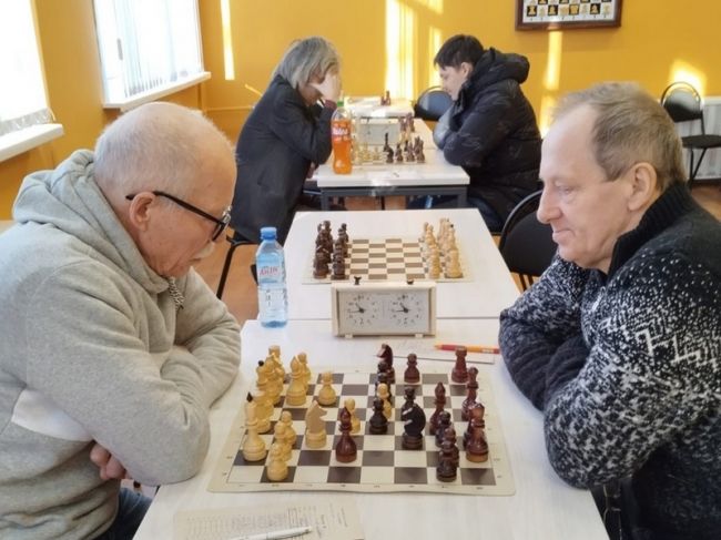 Завершился чемпионат Узловского района по шахматам