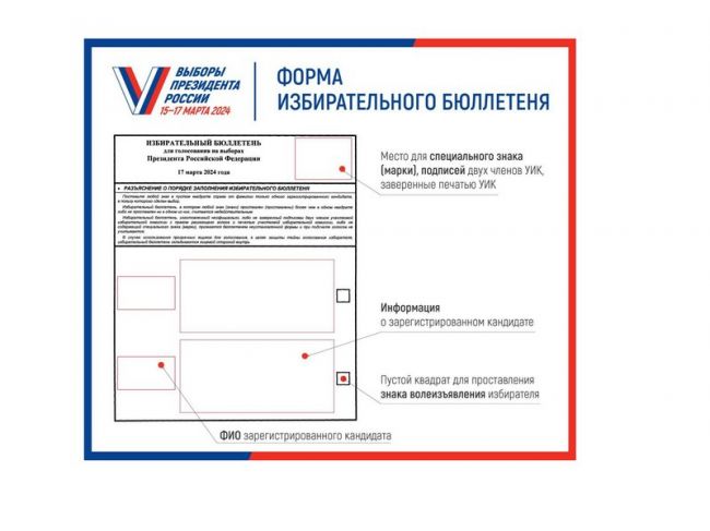 Стало известно, как будет выглядеть избирательный бюллетень на выборах Президента России