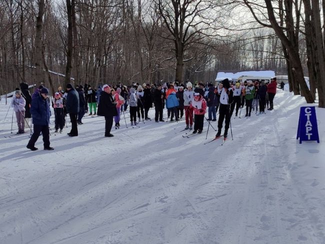 Узловские школьники вышли на лыжню