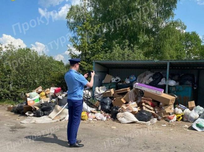 В Заокском районе ликвидируют свалку бытовых отходов после вмешательства прокуратуры