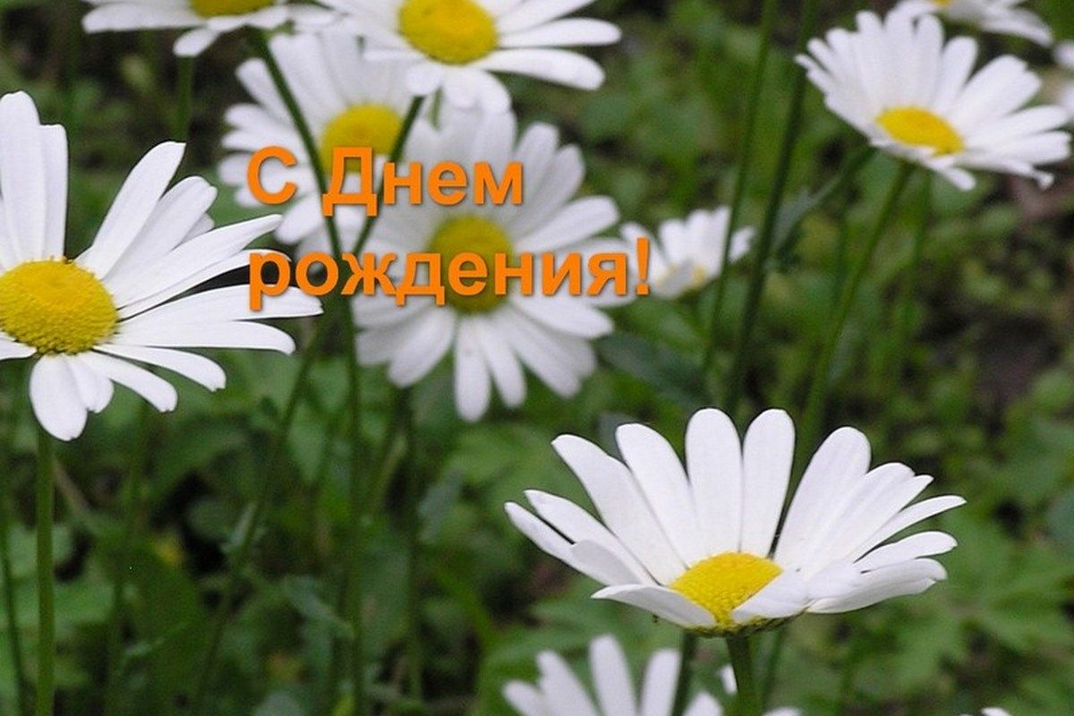 Бодрости духа, дорогие земляки