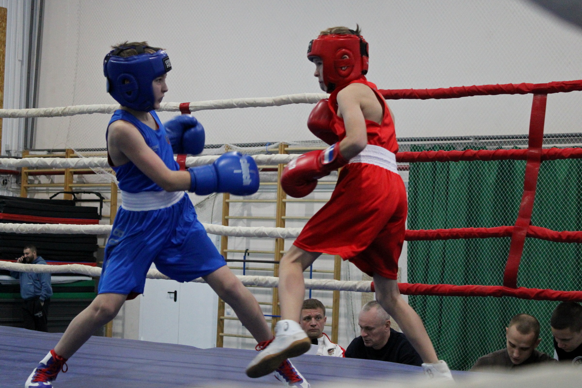 Турнир по боксу памяти Героя Советского Союза Матвея Кузякина стартовал в Узловой Турнир по боксу памяти Героя Советского Союза Матвея Кузякина стартовал в Узловой