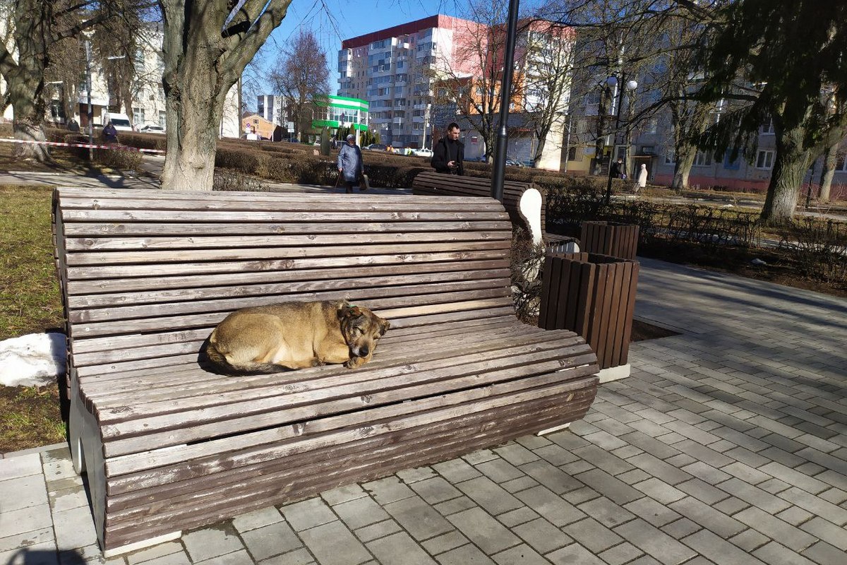 В Госдуму внесли законопроект о создании единого реестра заводчиков домашних животных В Госдуму внесли законопроект о создании единого реестра заводчиков домашних животных
