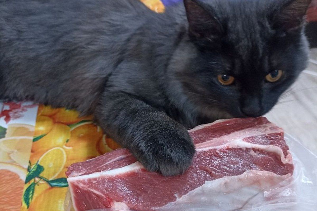 Как узловчанам правильно выбрать продукты для отдыха на природе