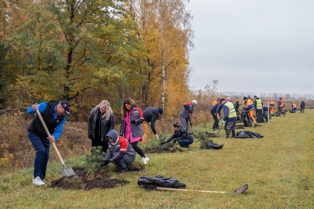 В особой экономической зоне и индустриальном парке «Узловая» высадили сосны В особой экономической зоне и индустриальном парке «Узловая» высадили сосны