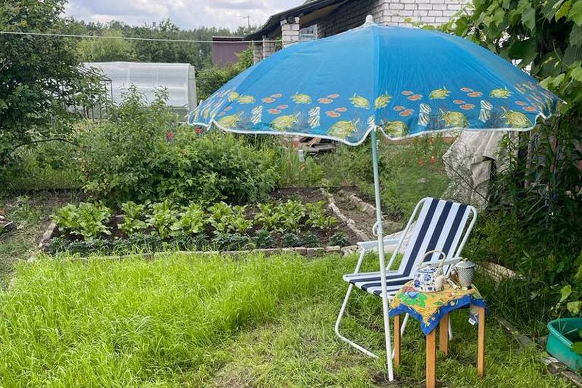 С марта 2028 года у туляков начнут отбирать заброшенные участки