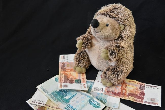 Задолженность по алиментам у матери составила более 2 млн рублей