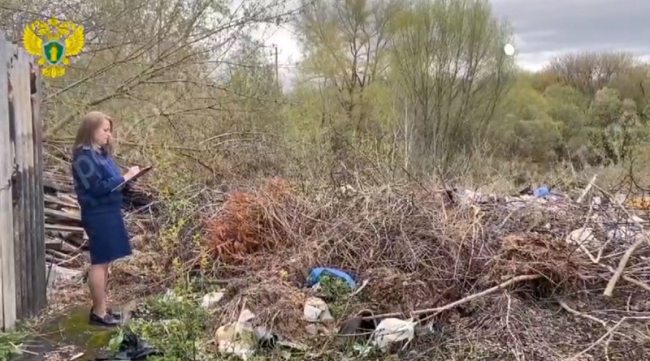 В Новомосковске обнаружены две несанкционированные свалки бытовых отходов