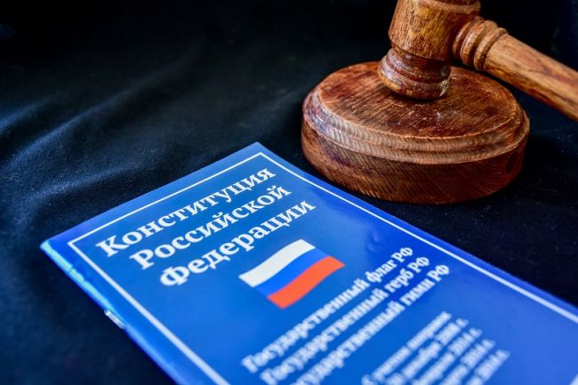 Москвичка предстанет перед судом за приобретение поддельной регистрации сына