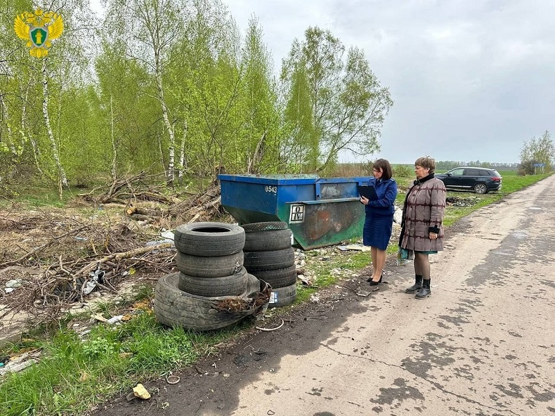 В Щекинском районе не убирают несанкционированную свалку