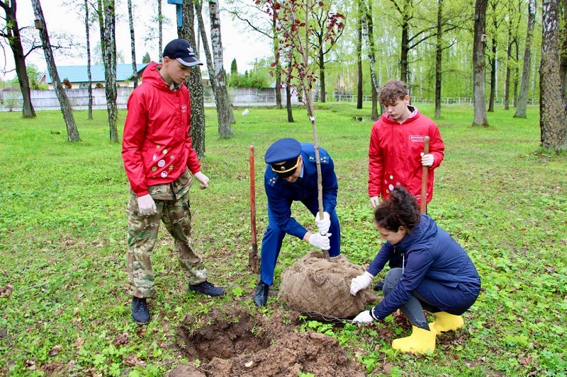 Прокурор Суворовского района принял участие в акции «Сад памяти»