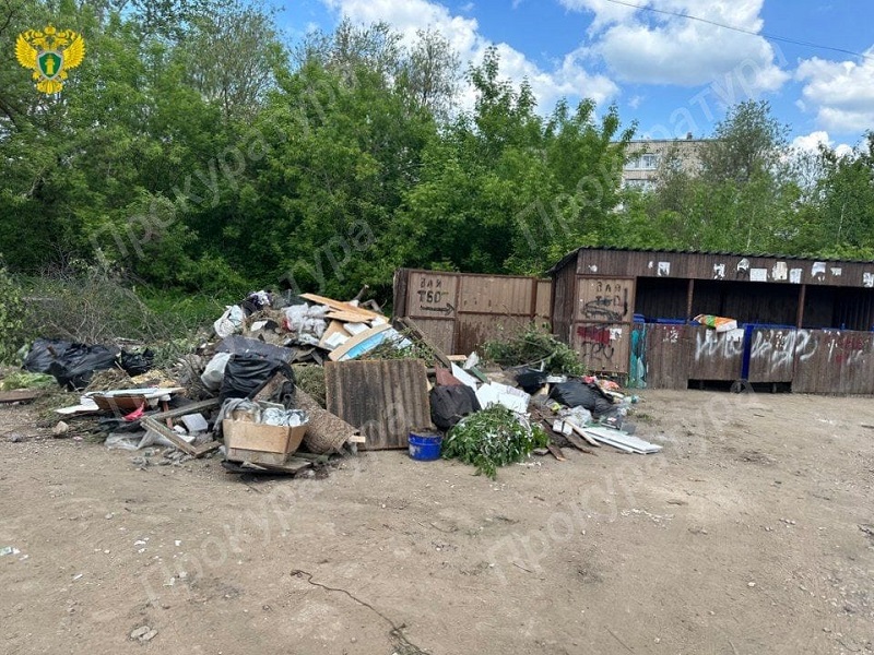 В Щекино образовалась стихийная свалка бытовых отходов напротив жилого дома