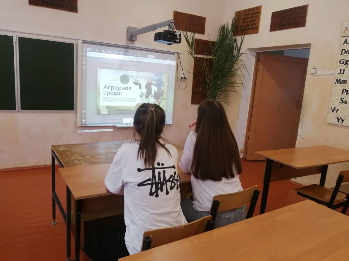 В Станционной школе прошли занятия Россия - мои горизонты