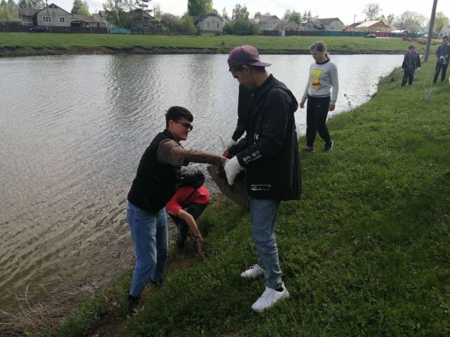 Двориковские школьники привели в порядок береговую линию пруда