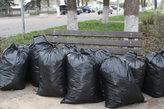 Нацпроект «Экология»: участники «Воды России» убрали в Кондуках 541 мешок мусора