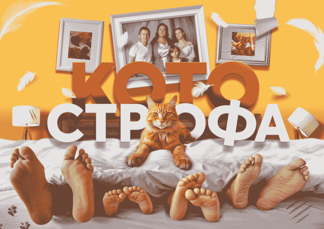Фейерверк жанров и сюжетов: Wink.ru представляет декабрьские кинопремьеры