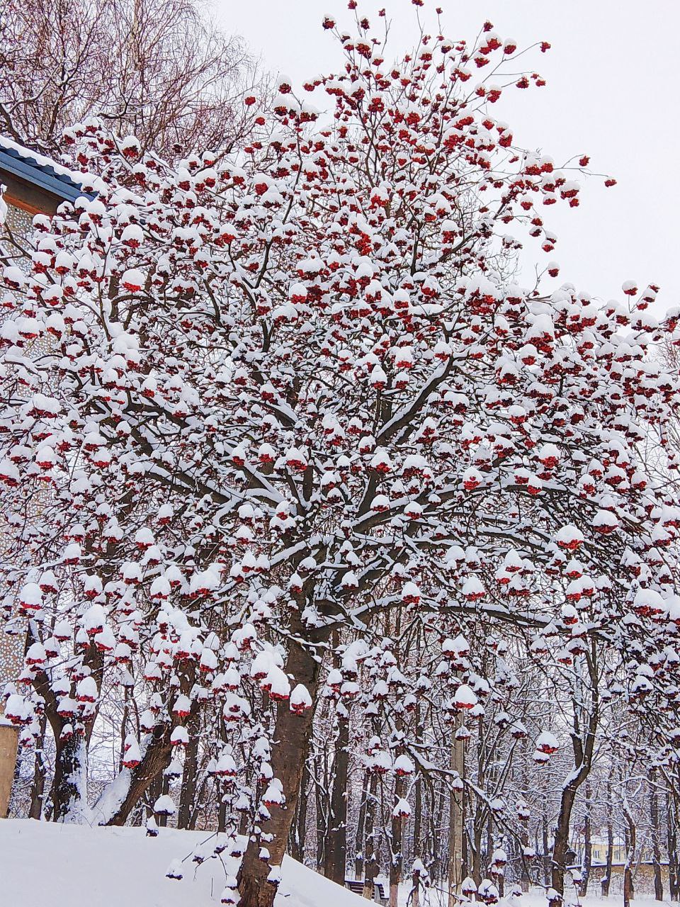 Поздравление в стихах от воловчанки Зинаиды Сауновой Поздравление в стихах от воловчанки Зинаиды Сауновой