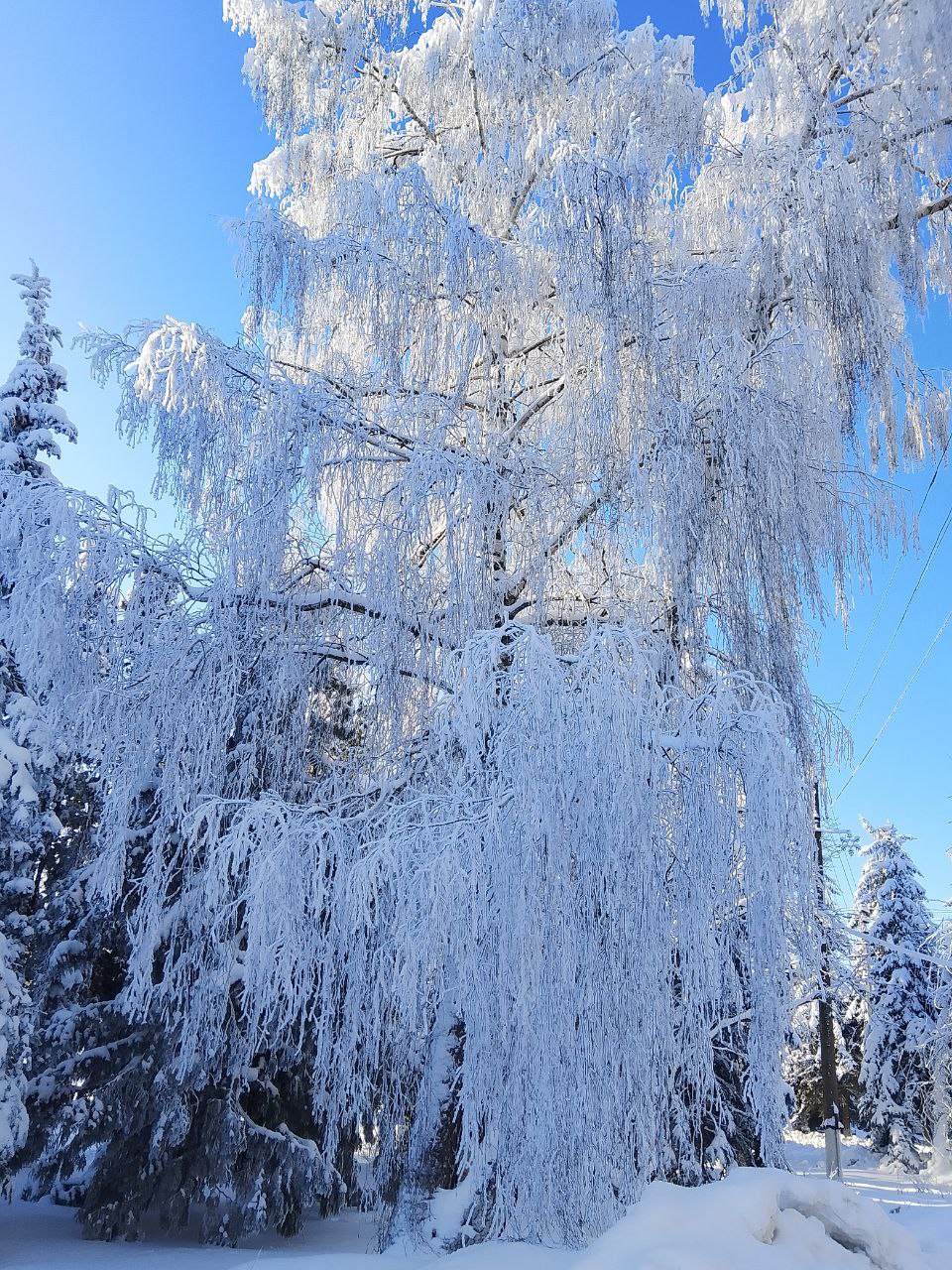 Поэтическое восприятие зимы от Зинаиды Сауновой Поэтическое восприятие зимы от Зинаиды Сауновой