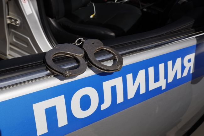 Ирина Волк: Полицейские задержали жителей столицы, которые подозреваются в совершении разбоя