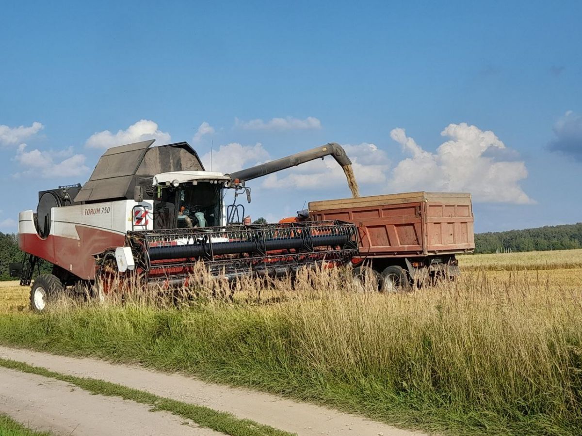 На полях Воловского района в самом разгаре уборка урожая