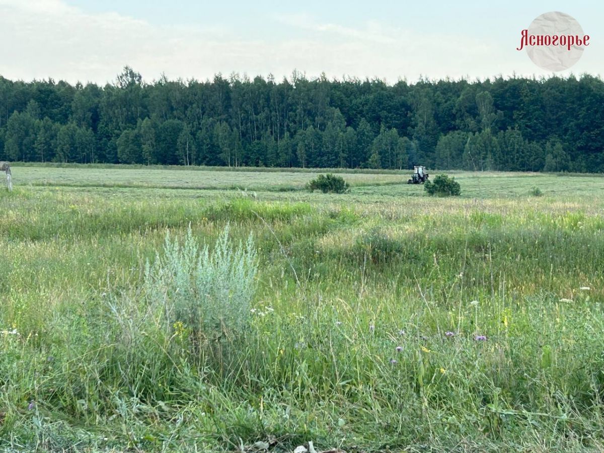 В день золотой середины лета возможны природные аномалии