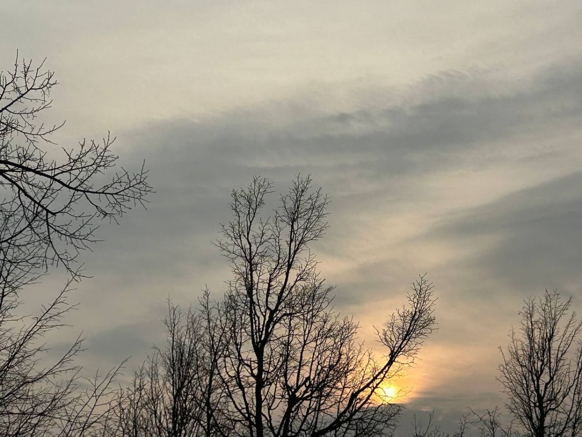 Южный ветер принесет в Ясногорский район потепление Южный ветер принесет в Ясногорский район потепление