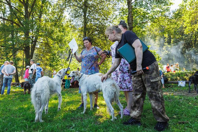 В «Ясной Поляне» прошел фестиваль «Охота как искусство»