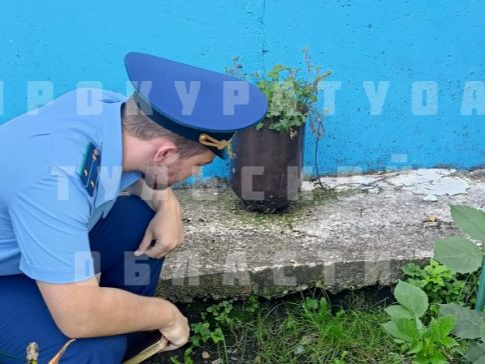 По требованию прокуратуры в пос. Кировкий уберут опиленные ветки