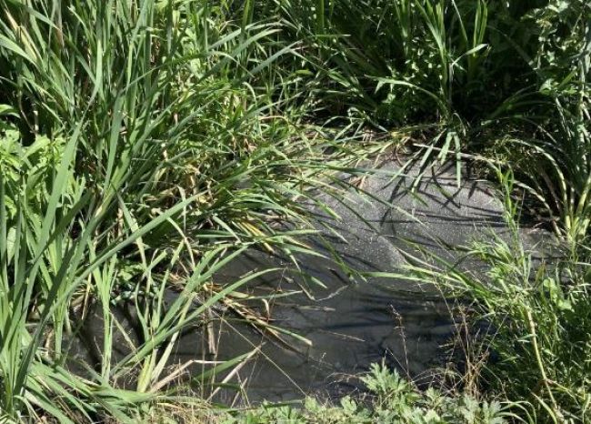 В Тульской области разлились сточные воды