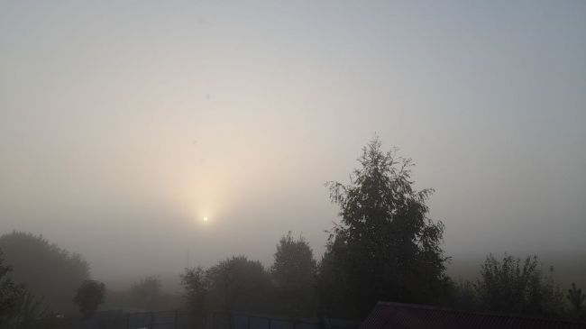 11 сентября Ясногорский район накрыло туманом