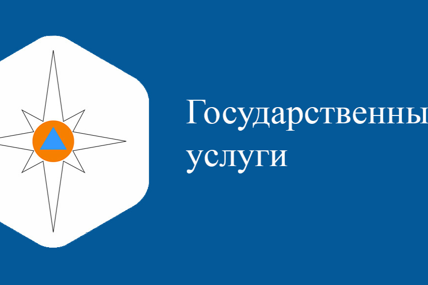 Главным управлением МЧС России по Тульской области в настоящий момент оказывается 6 государственных услуг