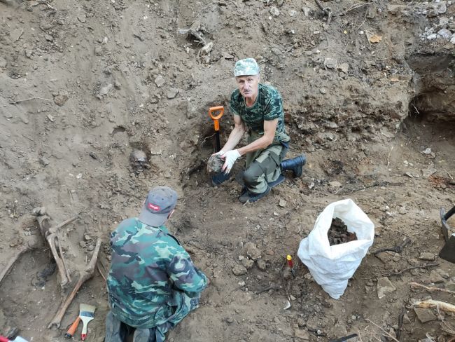 Под Алексином были обнаружены останки 21 бойца Красной Армии