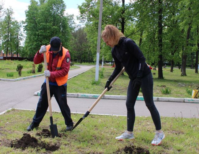 Российские экологи запустили природоохранный проект «Земля касается каждого»