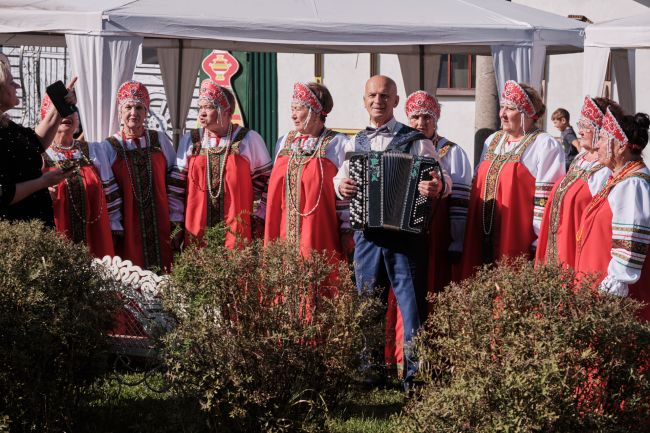 «Тульское долголетие»: В Туле прошел гала-концерт онлайн-фестиваля «Творчество без границ»