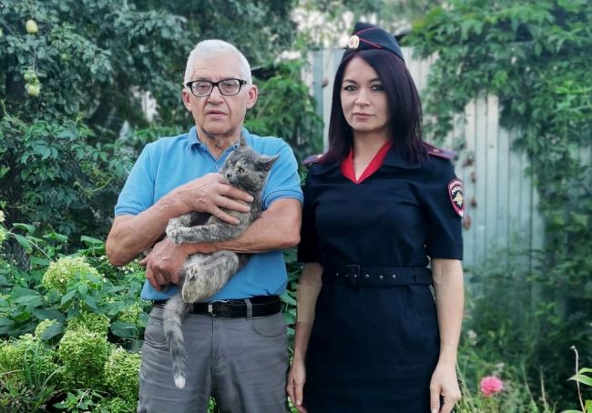 В Туле сотрудница Госавтоинспекции спасла кошку, попавшую в ДТП