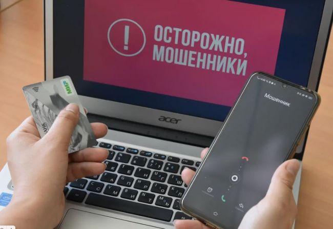 В России растет число мошеннических ресурсов, замаскированных под интернет-магазины, банки и сайты ведомств