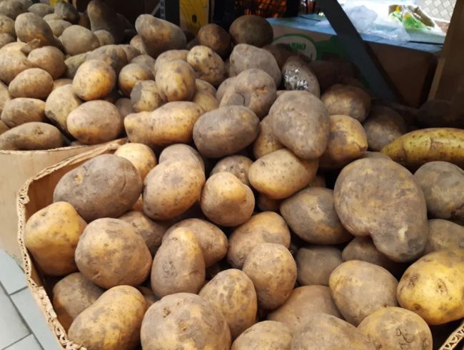 В России ожидается рекордный урожай картофеля