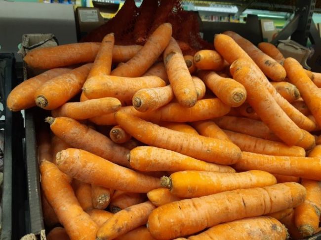 От онкологии туляков спасет морковный сок