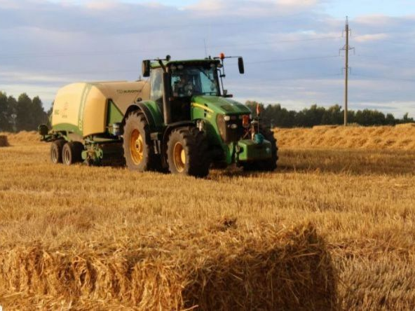 Тульская область получит более 44,6 миллионов на развитие сельхозпредприятий
