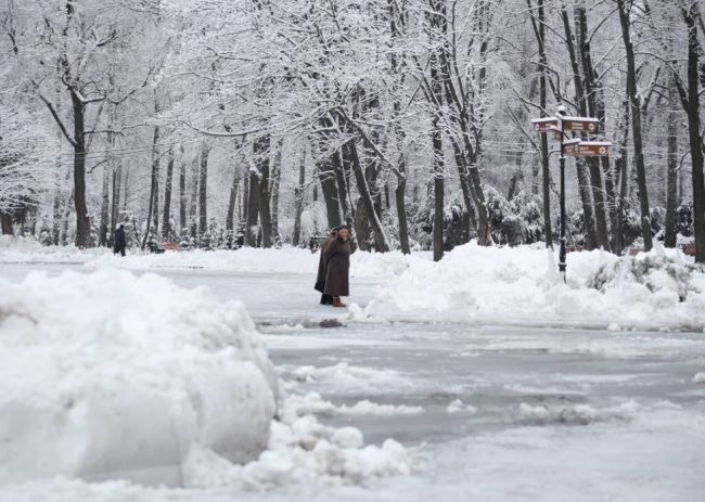 Гололед и мокрый снег пришли на смену трескучим морозам в Тульской области