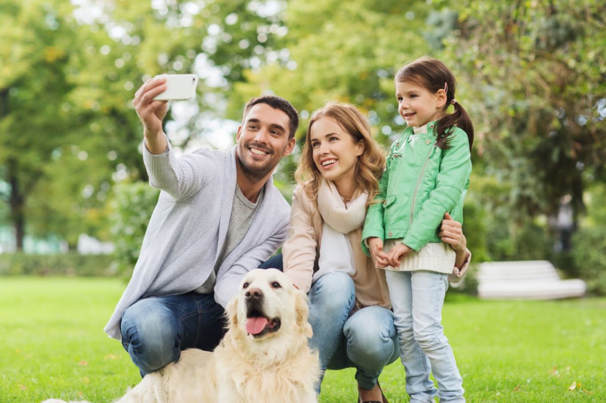 ground_picture_shutterstock