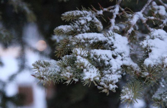 В Ясногорске сегодня ожидается снег