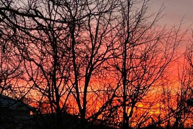 В Ясногорском районе яркий восход рассказал о погоде на ближайший день