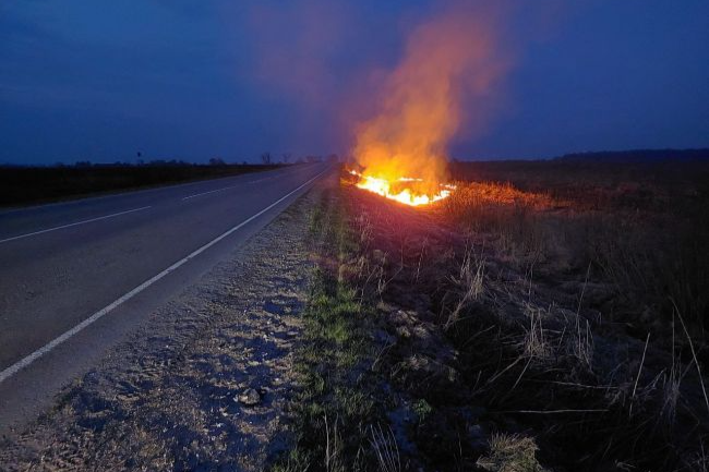 С 1 апреля в Тульской области стартовал пожароопасный сезон