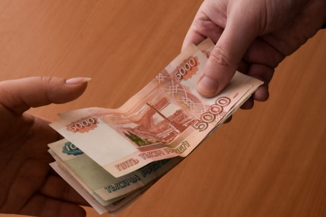 Житель Тульской области получил 30 тысяч рублей за фиктивную регистрацию юрлица