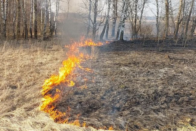 Неосторожное обращение с огнем и поджог сухой растительности превращаются в стихийные палы и наносят непоправимый ущерб!