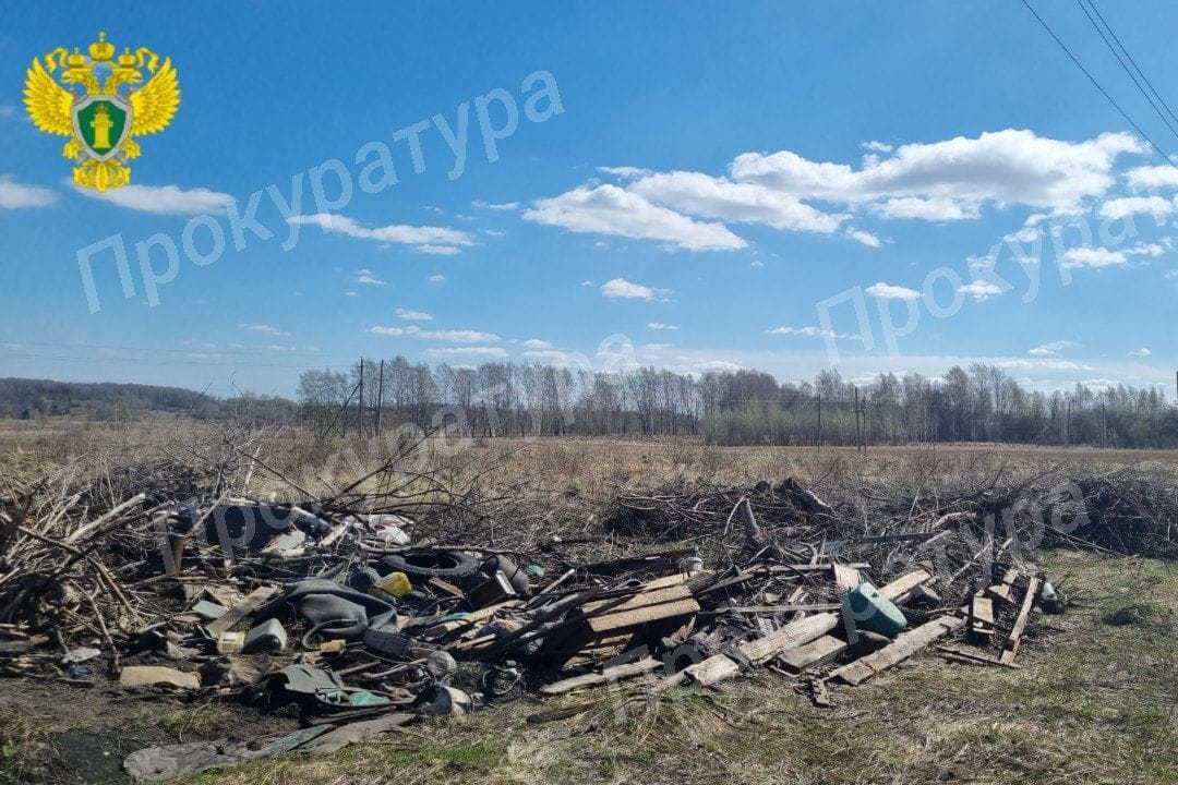 В Болохово Киреевского района обнаружена свалка твердых коммунальных отходов