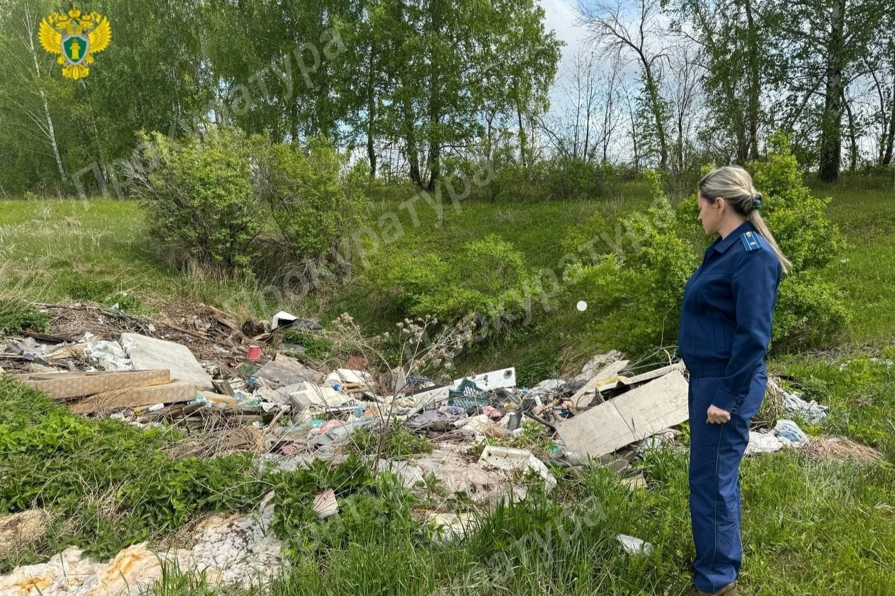 Близ деревни Фустово Новомосковска образовалась несанкционированная свалка бытовых отходов